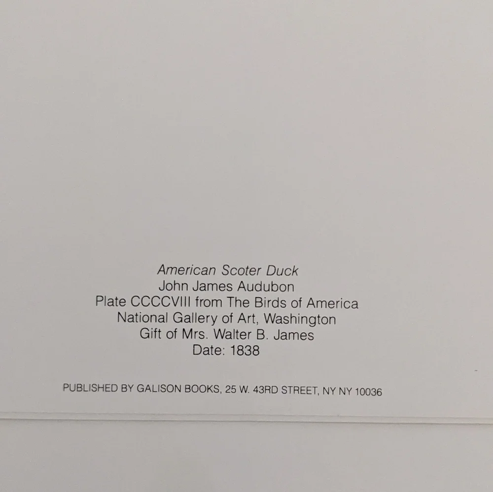 Audubon's Ducks Boxed Set Of Blank Note cards 5x7 Natl Gallery Of Art Set Of 14